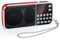 PRUNUS J-189 FM/UKW Kleines Radio mit Bluetooth, Kofferradio mit Heavy Bass Lautsprechern, TF/USB/AUX-Player, Digital Radio mit Akku Wiederaufladbare, LED-Taschenlampe(Rot)