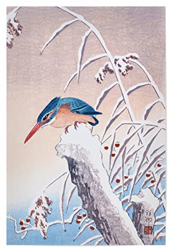 artboxONE Poster 75x50 cm Natur Eisvogel im Schnee - Bild eisvogel bildende Kunst eisvogel