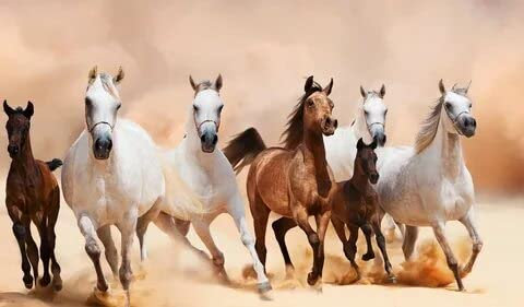 Sieben Pferde - 1500-Teiliges Puzzle, Kunstsammlungs-Puzzle, Jedes Teil, Lustiges Puzzle, Kreativfestival