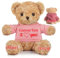 JABECODIFA Nounours Personnalisé pour Lui Elle, Nounours Ours Brun avec Texte+Photo, Cadeaux Personnalisés pour Noël Saint-Valentin Anniversaire (40cm-Texte+Photo)
