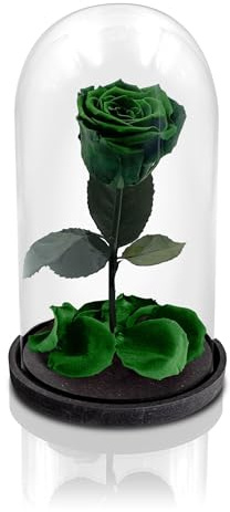 Aluisi Fiori - Rosa Stabilizzata Verde Senza LED- Rosa Eterna Stabilizzata - Rosa Stabilizzata Vera in Cupola di Vetro - Fiori Stabilizzati - Regalo per Mamma - Made in Italy