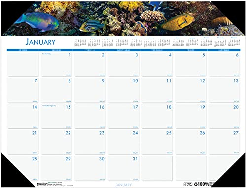House of Doolittle Monatlicher Schreibtischunterlagen-Kalender 2024, Earthscapes Sea Life, 47,7 x 33 cm, Januar – Dezember (HOD1936-24)