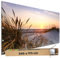 TRIOSK Große Motivplane Sichtschutz Zaunblende mit Motiv Abendsonne Strand Dünen Meer Motivbanner Garten Deko Plane Blickdicht für Zaun Terrasse Gartenzaun Zaunplane PVC 340x173 cm