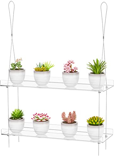 OtNiap 2-Tier Clear Acrylic & Wire Rope Hanging Window Plant Stand, 16x6x4 Inches, Supports 20 Pounds, Ideal for Growing Herbs, Succulents, Flowers