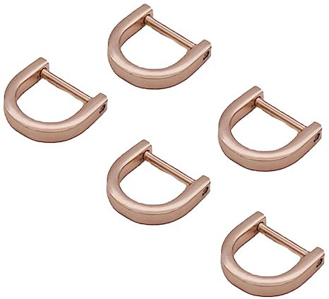 Operitacx 10St leathercrafting bootszubehör motorboot d-Schnalle aus Metall mit rundem Draht einschrauben Geldbörsen Leder Geldbörse abnehmbare D-Schnalle Taschen