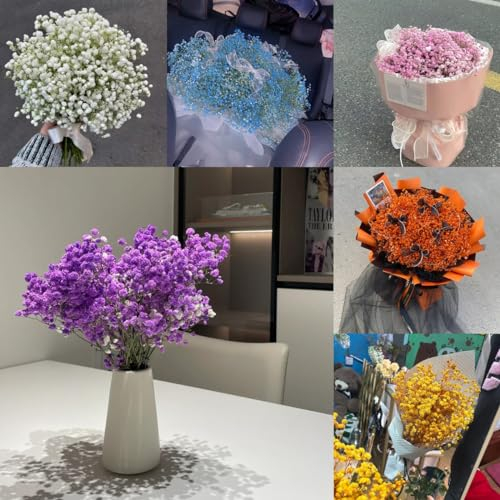 50 pcs Schleierkraut Samen Wildblumensamen, Balkon Gypsophila Paniculata Wildblumensamen Mehrjährig Winterhart, Stauden Winterhart Mehrjährig Blumenwiese Samen Dekoration Wohnzimmer