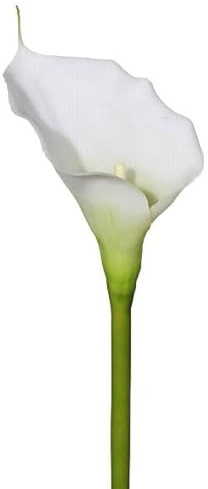 artplants.de Dekoblume Calla GOLMA, weiß, 70cm - Kunstpflanze Calla