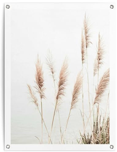 REINDERS Gartendeko, Pampasgras, Garten, Bilder, Wanddeko, Room Decor, Leinwand, Beige, 80 x 60