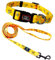 Roses&Poetry Hundeleine (1,5m) Hundehalsband im Set für Welpen Kleine Mittlere Große Hunde mit Wundervolles Design,Verstellbar Pet Hundehalsband und Hundeleine Leine Set（Biene-L）