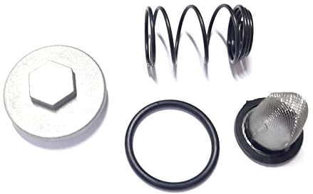 Ölfilter Set für 50ccm 139QMB 139QMA 4T Chinaroller Ölablassschraube Dichtung Feder Sieb