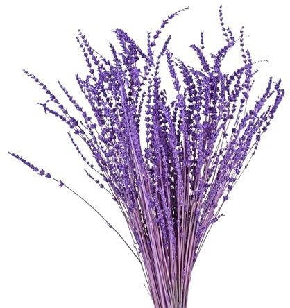 elthmpr Lavanda Essiccata - 30cm Fiori Essiccati Decorativi 60g, Fiori Decorativi Bouquet Naturali, Lavanda Secca per Matrimonio Decorazione Domestica Feste Casa