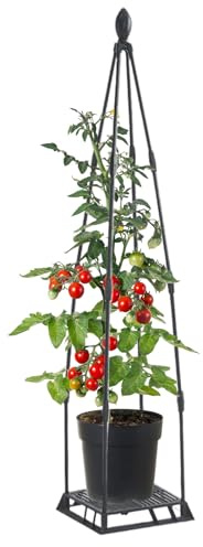 Rankgitter für Kletterpflanzen im Garten Metall Rankhilfe