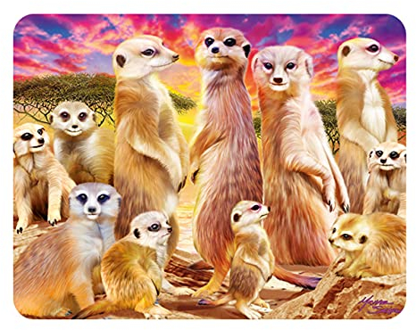 3D LiveLife Magnet - Coole Erdmännchen von Deluxebase. Linsenförmige 3D Safari Kühlschrankmagnet. Dekoration für Kinder und Erwachsene mit Kunstwerk lizenziert von bekannt Künstler, Michael Searle
