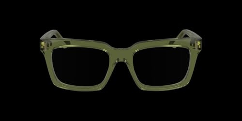 Ferragamo SF2993 320 TRANSPARENT KHAKI 53/19/145 Damen Brillen
