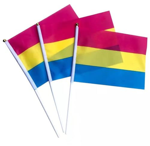 Hrlace Regenbogen Flagge Kleine mit Stöcken Progress Pride Flagge Mini Handheld Miniatur LGBTQ Regenbogen für eine Parade,Party,EIN Festival,Wanddekoration für Haus Pansexuell 50 Stück