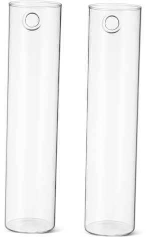 GALPADA Vasi Da Parete in Vetro Trasparente Set Di 2 Fioriere Sospese Per Piante Da Composizioni Versatili e Eleganti Fissaggio a Parete Decorazioni Casa