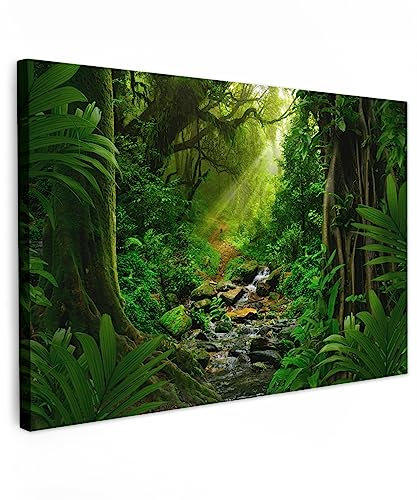 MuchoWow© Leinwand Groß 120x80 cm XXL Deko Schlafzimmer Aesthetic Leinwandbilder Wohnzimmer Gemälde Foto Geschenk Living Room Decoration Dschungel - Wasser - Laub - Sonne - Natur - Grün