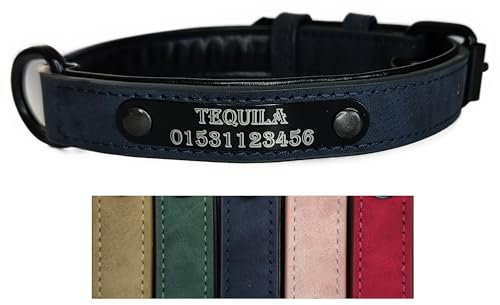 Jacks O Be Hundehalsband Halsband Name Gravur personalisiert Haustier Hund Katze Leder (Blau, S)