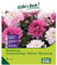 Kollektion Dunkellaubige Dahlien, Mischung, rosa, pink, 3 Blumenknollen