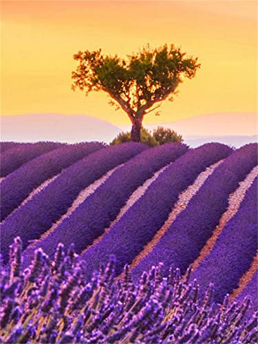 Diamond Painting, DIY Kinder Diamant Painting Bilder, Landschaft Lavendel FlowerSea 5D Erwachsene Groß Vollbohrer Diamant Malerei Cross Stickerei Malerei Kits, Wohnwand Wand Dekoration 80x120cm