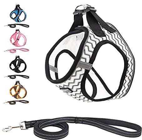 Suredoo Hundegeschirr mit Leine Anti Zug Geschirr Reflektierend Brustgeschirr für Kleine Mittlere Hunde, Haustiere, Welpen, Katzen (XS, Weiß)