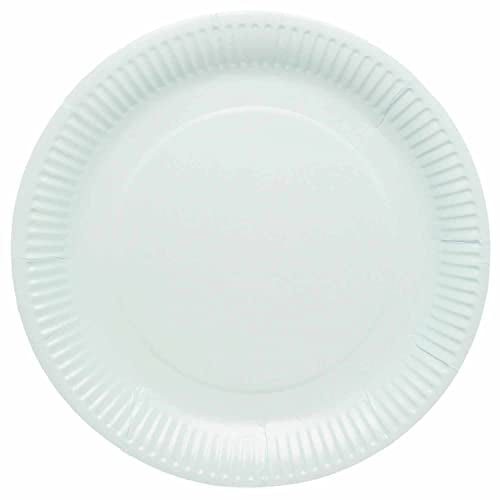 Amscan 9915400-211-66 - Pastel Blue Eco-Friendly Recyclable Paper Party Plates - 8 Pack