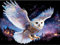 QIUQI 5D Diamant Painting Bilder,Diamond Painting Eule,Diamond Painting Set für Erwachsene und Kinder,Mosaikherstellung,Diamant Malerei für Haus Dekoration,Weihnachtsgeschen