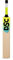DSC Unisex Jugend Fledermaus Wildfire Warrior Tennis-Cricketschläger mit kurzem Griff 5, holzfarben, 5