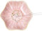 Nwvuop Keramik Schmuckschale Schmuckteller, deko Schale kleiner Ringschale, keramik schale für schlüssel(Rosa)