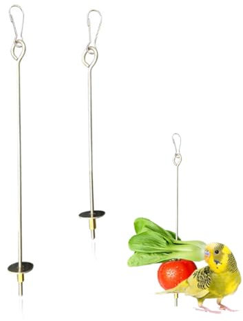 Porte Brochettes de Fruits des Oiseaux, 2 Pièces Brochettes d'oiseaux en Acier Inoxydable pour Support de Nourriture,Mangeoire et Porte，Fruits pour Perroquets Outils pour Nourrir Les Oiseaux