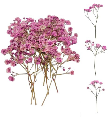 Ruzister Lot de 50 petites fleurs séchées pour bébé - Nature, rose et délicate - Pour bricolage, bougie, résine, bijoux, nail art, artisanat, gypsophile
