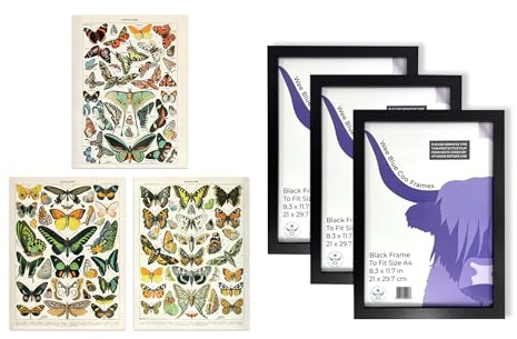 Artery8 Millot Butterflies Wall Art - Set of 3 A4 Sized Art with Black Frames - Insects Papillons Vintage Millot Study Office Aesthetic