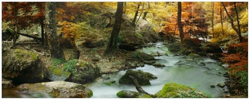 Wallario Küchenrückwand selbstklebend 115 x 50 cm, Motiv: Wasserfall mit moosbedeckten Steinen im Herbstwald | Spritzschutz abwischbar & pflegeleicht