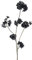 creativ home Künstlicher Blütenzweig 87cm SCHWARZ. Japanischer Zweig ähnlich Kirschblüte Apfelblüte Pfirsichblüte