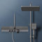 EMKE Colonne de Douche Thermostatique, Panneau Thermostatique de 45 cm, Douchette à Main 3 Jets, Douche de Pluie avec Mitigeur, Montage Mural,Anthracite Mat