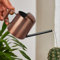 300ml Giesskanne Zimmerpflanzen, Edelstahl Langer Auslauf Giesskanne, Gießkanne Klein Balkonpflanzen Blumengießkanne, Garten Giesskanne Klein Für Innen Wohnung Home Büro Sukkulenten (Bronze)