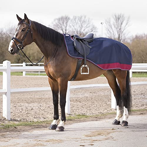 Equi-Theme/Equit'M Unisex's 400201755 Tyrex 600 D Übungsdecke, Navy/grau, 155 cm