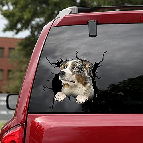 Ocean Gift Australian Shepherd Auto Decals, Hund Auto Aufkleber 2 Stück - Realistische Australian Shepherd Aufkleber für Autofenster, Wände Serie 106 Größe 30,5 cm x 30,5 cm