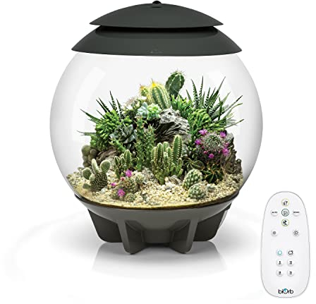 biOrb 71749 AIR 30, grau - automatisches Terrarium zur bequemen Pflanzenpflege, geeignet für empfindliche und exotische Pflanzen