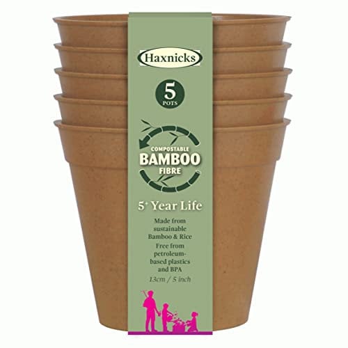 Garden Bamboo Seed Trays Pots & Saucers Sage Green or Terracotta indoor outdoor Greenhouse Compostable Bamboo Fibre Plastic Free 5 Year life (5 Terracotta Flower Pots)