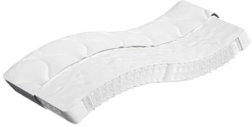 vidaXL Matratze Taschenfederkern, Taschenfederkernmatratze Atmungsaktiv Hautfreundlich, Bettmatratze Härtegrad Mittel, Stoffmatratze Federkernmatratze, 90x220cm