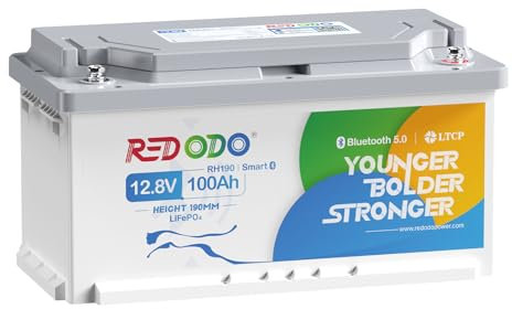 Redodo Bluetooth Batterie Lithium 12V 100Ah,Batterie LiFePO4 avec Protection Low-Temp,BMS 100A,1280Wh,Rechargeable,Hauteur 188MM,Batterie de Remplacement Plomb-Acide Parfaite pour Camping-Car