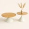JAZYKA Table Basse Salon Ronde gigogne – Set de 2 – Bois Clair et Blanc cassé – Design scandinave Moderne – Table d’appoint ou Bout de canapé – Modèle ÁUREA