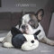 Funny Dogs 2024 - Broschürenkalender 30x30 cm (30x60 geöffnet) - Kalender mit Platz für Notizen - Hunde - Bildkalender - Wandkalender - Hundekalender