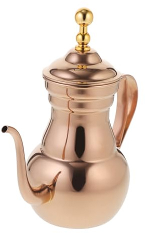 STOBAZA Théière Inox avec Passoire Bouilloire à Long Bec Fin Poignée Isolante pour Thé et Café Usage Domestique et Professionnel