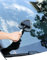 QWORK® Auto Scheibenreiniger, ausziehbares Autoscheiben-Reinigungswerkzeug, dreieckige Platte, 180° drehbarer Griff, inkl. 3 waschbaren Pads