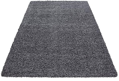 Stilvoll Günstig by ELMM Teppich Wohnzimmer Schlafzimmer Grau 300 x 400 Unicolor - Einfarbig Hochflor