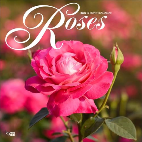 Roses – Rosen 2026 – 16-Monatskalender: Original BrownTrout-Kalender [Mehrsprachig] [Kalender] (Wall-Kalender)
