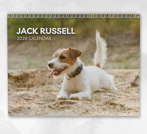 Jack Russell Kalender 2026 Monatlicher Wandkalender mit Notizen, hängend A4, inklusive Schlüsseldaten & Feiertagen