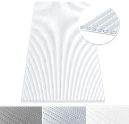 Panel multipared, plancha alveolar de policarbonato, para jardín, invernadero y modelismo, 60,5 x 121 cm, grosor: 6 mm, transparente